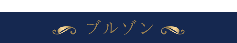 ブルゾン